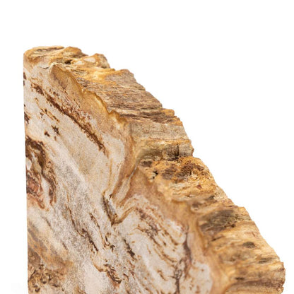 Four Hands - Petrified Wood Book Ends - Light - 229858-001 veiw 4