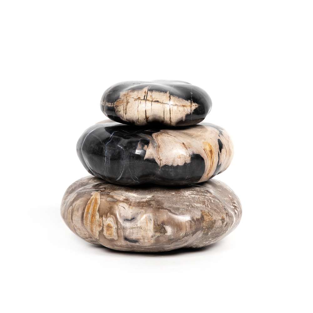 Four Hands - Petrified Wood Organic Sculpture - Dark - 227720-001 veiw 1