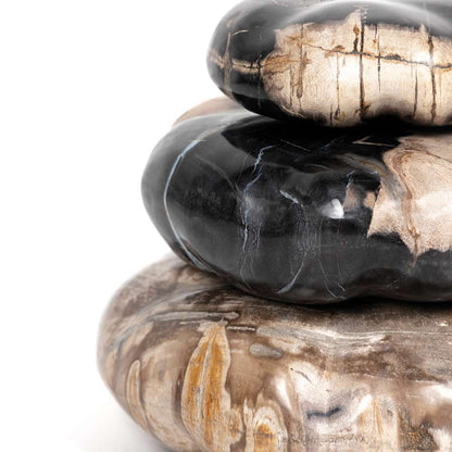 Four Hands - Petrified Wood Organic Sculpture - Dark - 227720-001 veiw 2