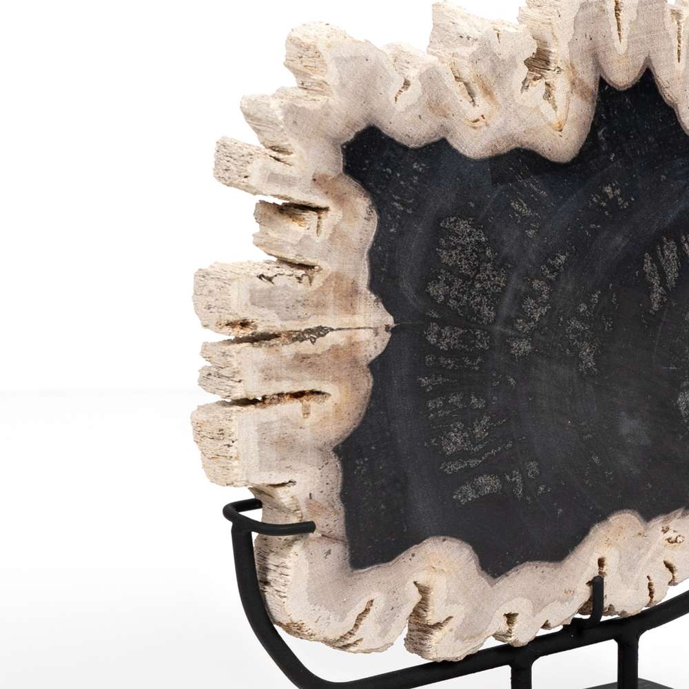 Four Hands - Petrified Wood Sculpture - Dark - 227717-001 veiw 3