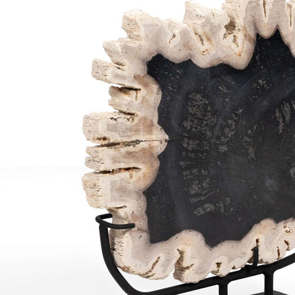 Four Hands - Petrified Wood Sculpture - Dark - 227717-001 veiw 3