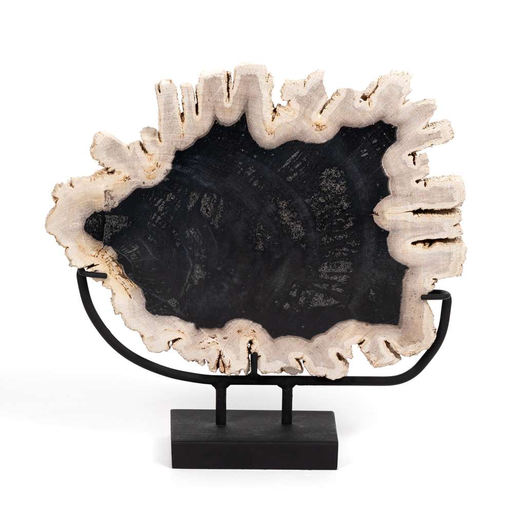 Four Hands - Petrified Wood Sculpture - Dark - 227717-001 veiw 4