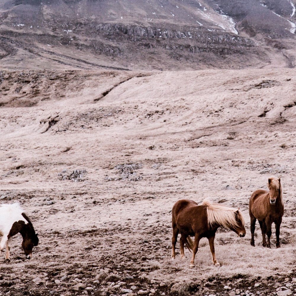Four Hands - Wild Horses - Walnut 2.5 - ULOF-5000815-6040 view 4