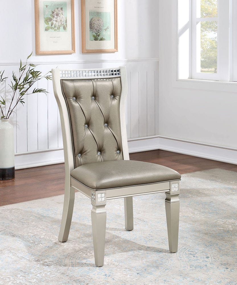 Furniture of America - Adelina Side Chair Set of 2 in Champagne/Warm Gray - CM3158SC-2PK View 1