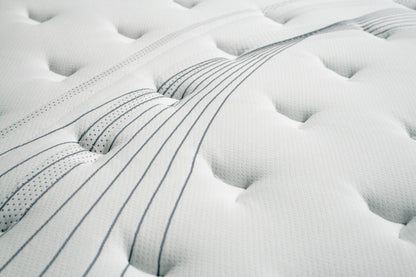 Furniture of America - Afton 12" Euro Box Pocket Coil in White/Gray - DM337F-M View 2