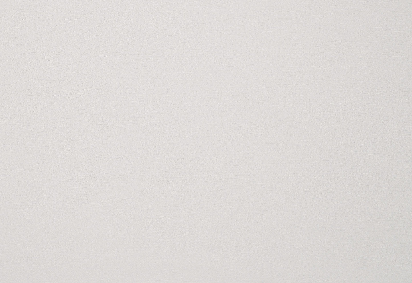 Furniture of America - Alisha Side Chair Set of 2 in Black/Ivory - FOA3799SC-2PK View 2