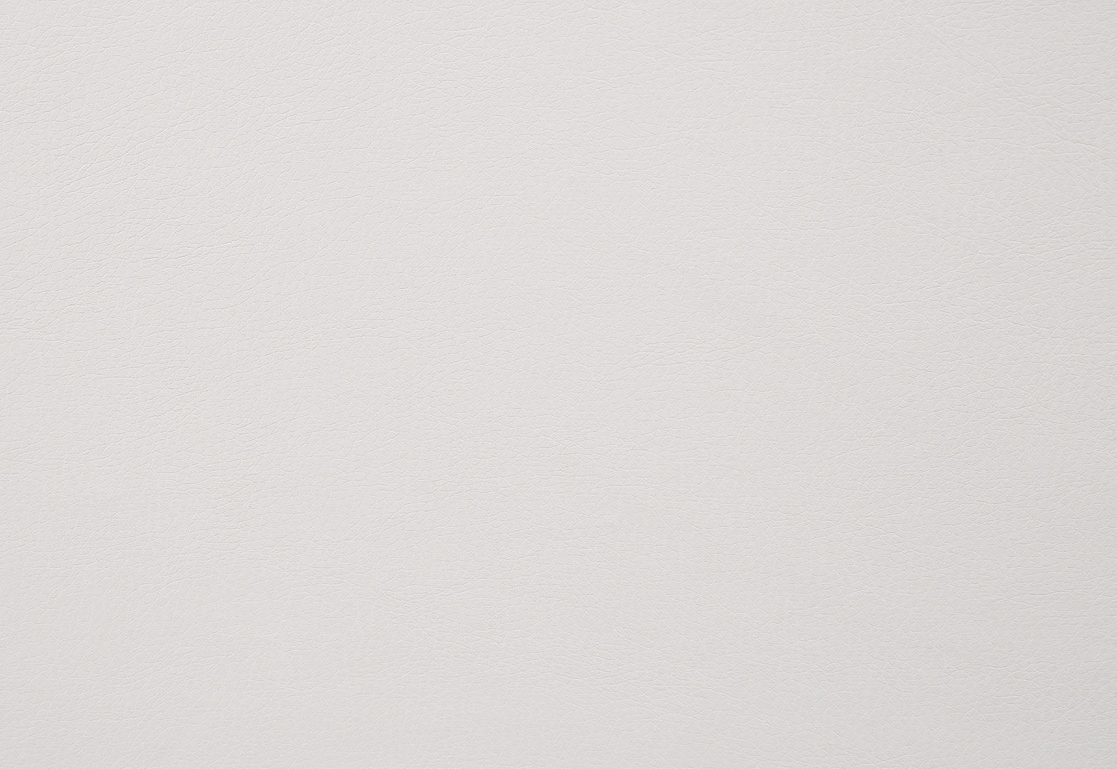 Furniture of America - Alisha Side Chair Set of 2 in Black/Ivory - FOA3799SC-2PK View 2