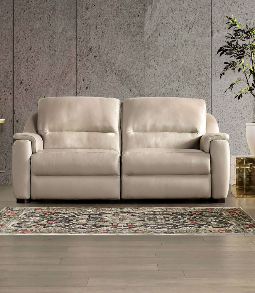 Furniture of America - Altamura Power Loveseat in Taupe - FM90002TP-LV-PM-PK View 1