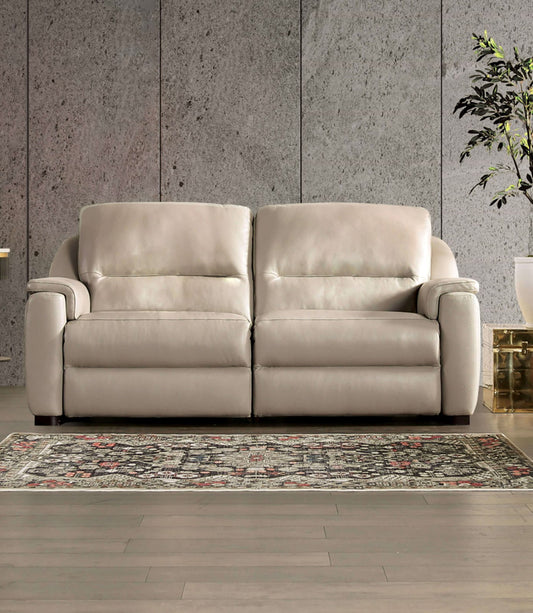 Furniture of America - Altamura Power Loveseat in Taupe - FM90002TP-LV-PM-PK View 1