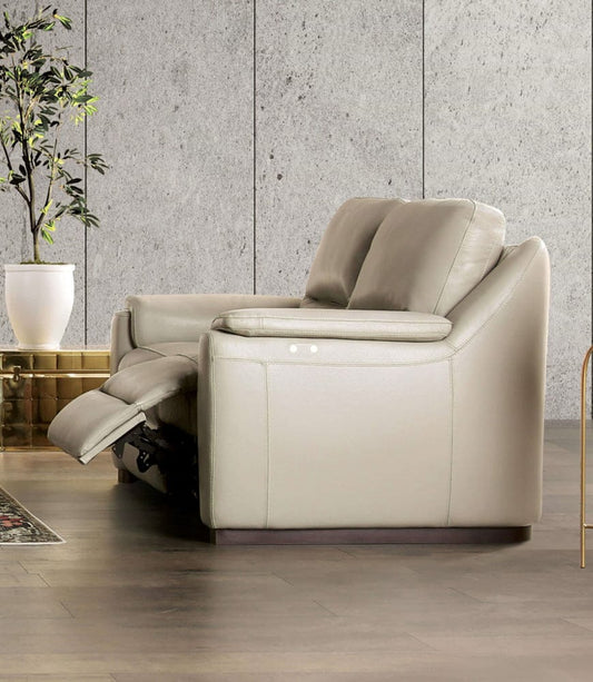 Furniture of America - Altamura Power Sofa in Taupe - FM90002TP-SF-PM-PK View 1