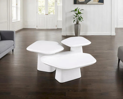 Furniture of America - Amico - End Table - FM47015WH-E-PK view 5