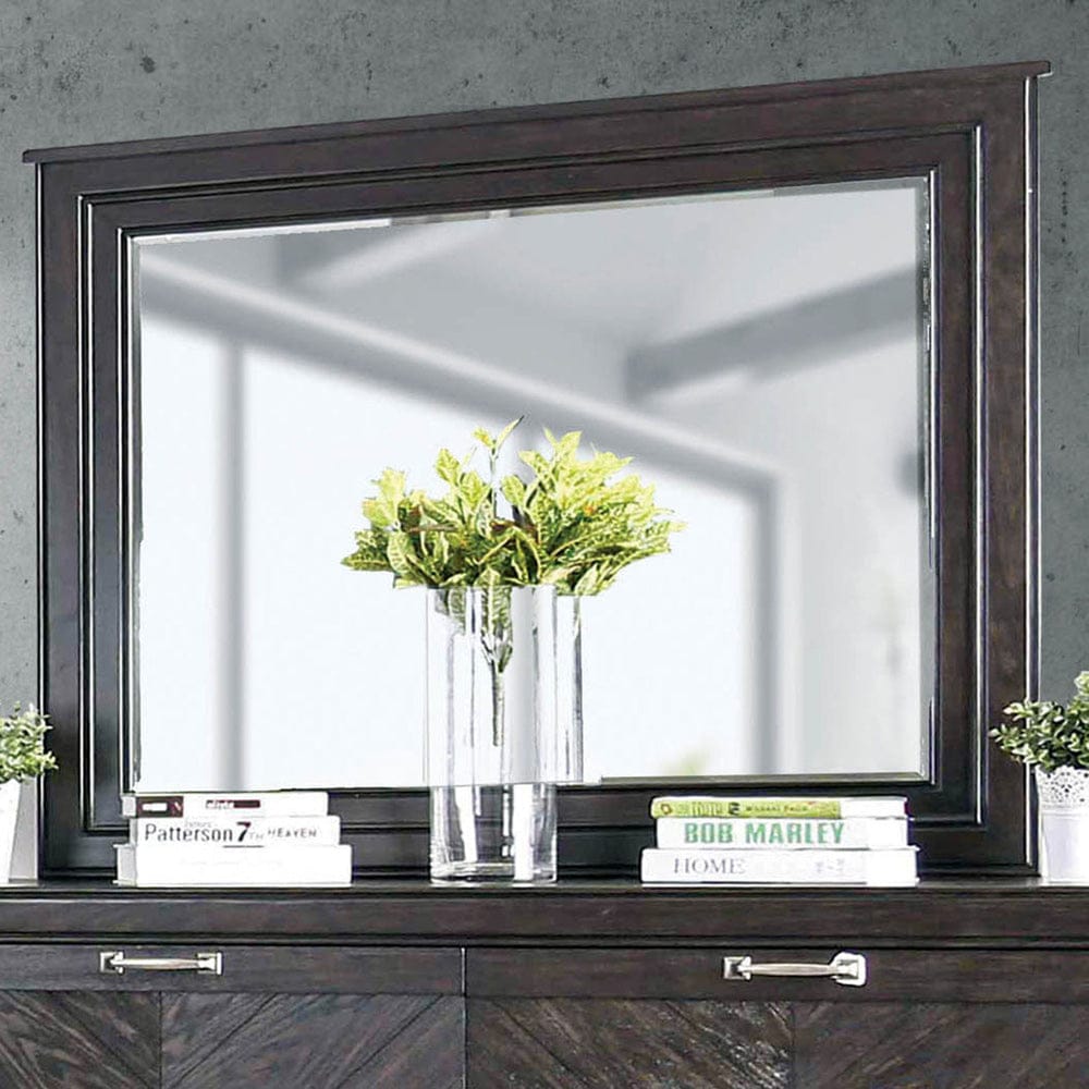 Furniture of America - Argyros Mirror in Espresso - CM7315M View 1