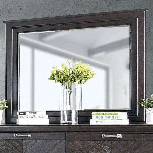 Furniture of America - Argyros Mirror in Espresso - CM7315M View 1
