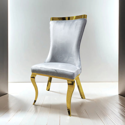 Furniture of America - Basilicata Side Chair Set of 2 in  Gold/Gray - FM33013GY-SC-2PK View 1