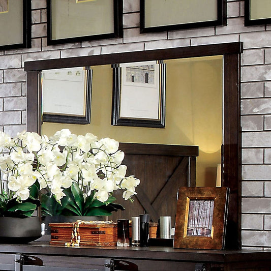 Furniture of America - Bianca Mirror in Dark Walnut - CM7734M View 1