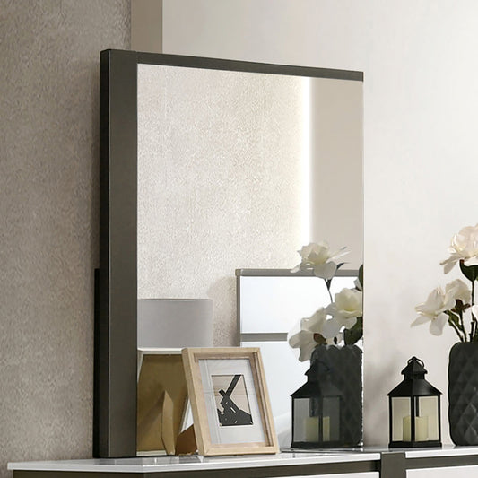 Furniture of America - Birsfelden Mirror in Metallic Gray - FOA7225WH-M View 1