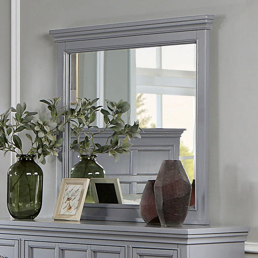Furniture of America - Castlile Mirror in Gray - CM7413GY-M View 1
