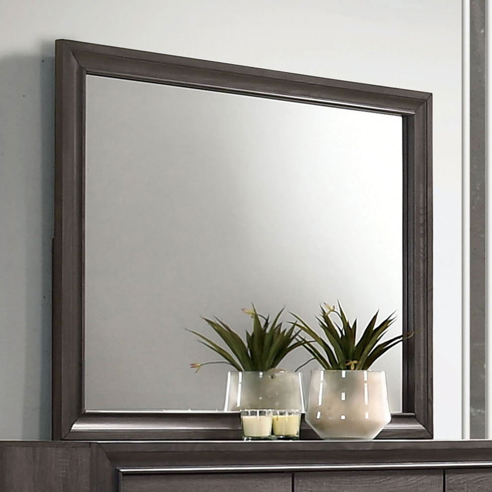 Furniture of America - Chrissy Mirror in Gray - CM7552GY-M View 1