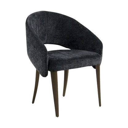 Furniture of America - Ciaran - Dining Arm Chair (Set of 2) - FM37024BK-AC-2PK view 1
