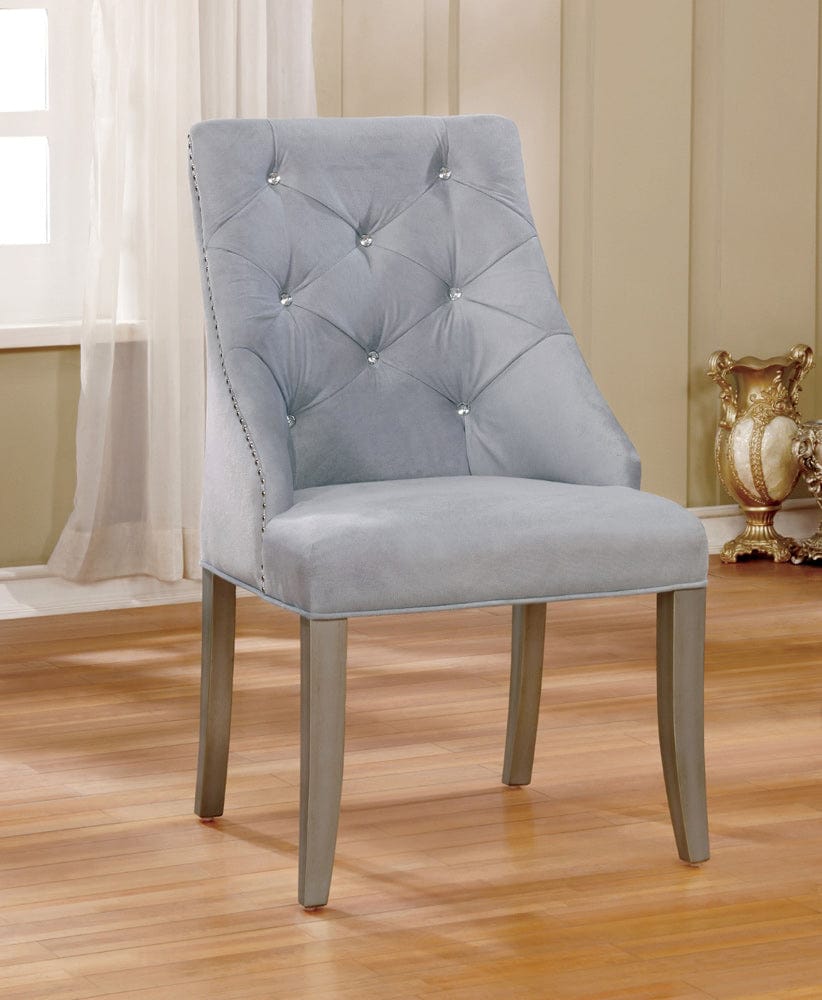 Furniture of America - Diocles Side Chair Set of 2 in Silver/Gray - CM3020SC-2PK View 1
