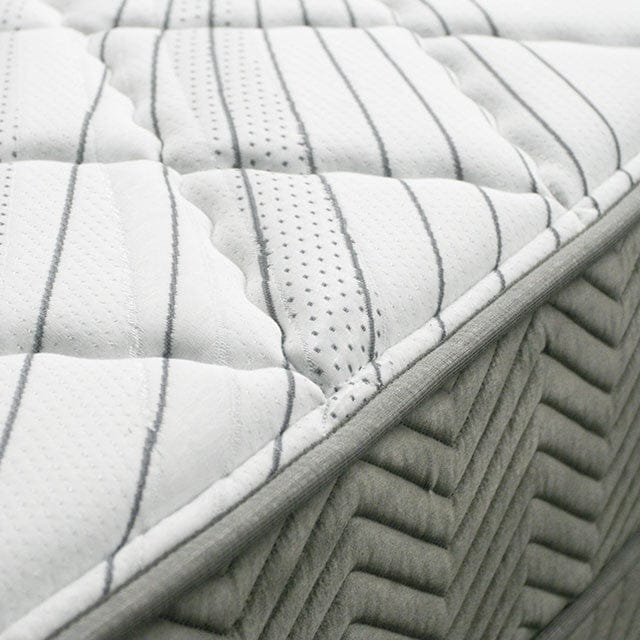 Furniture of America - Edrea 10" Tight Top Pocket Coil Full in White/Gray - DM336F-M View 3