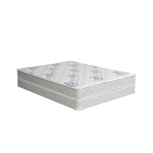 Furniture of America - Elbertyna 8" Tight Top Mattress, Full in White - DM331F-M