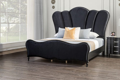 Furniture of America - Eleanora Queen Bed in Black - FM7416BK-Q-BED View 1
