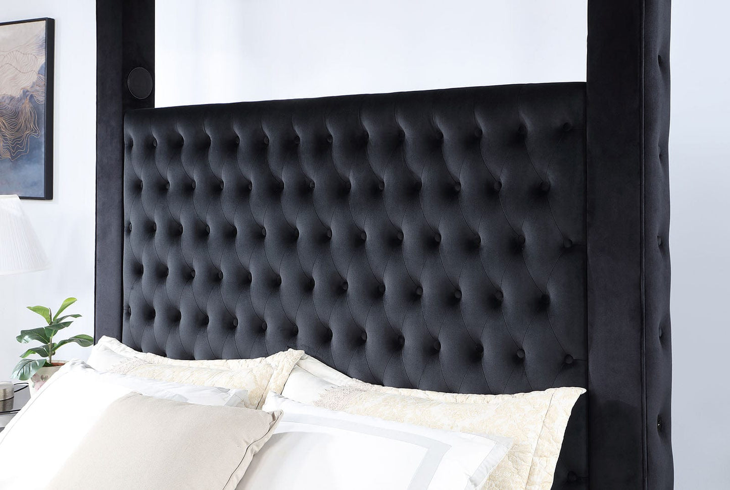Furniture of America - Etherea Queen Bed in Black - CM7482BK-Q-BED View 3