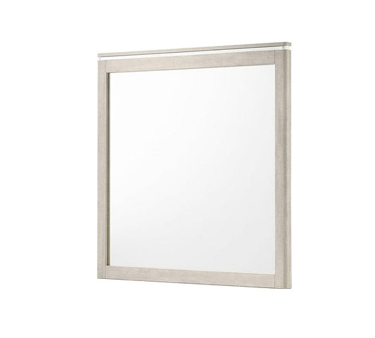 Furniture of America - Farsund Mirror in Dusty Gray - FM72013LG-M View 1