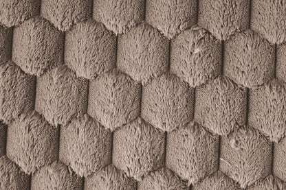 Furniture of America - Ferryhill 2-Arm Chaise in Light Brown - SL69000LB-PK View 4