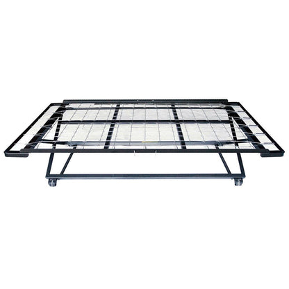 Furniture of America - Framos 39" Pop Up Trundle in Black - MT-POPUP-39 View 1