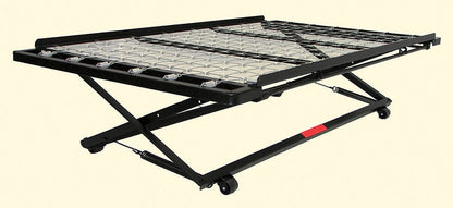 Furniture of America - Framos 39" Pop Up Trundle in Black - MT-POPUP-39 View 2