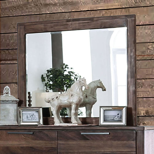 Furniture of America - Hankinson Mirror in Rustic Natural Tone - CM7576M View 1