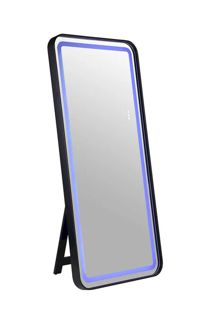 Furniture of America - Katlyn - Floor Mirror - Black - FM-AC8026BK-M view 2