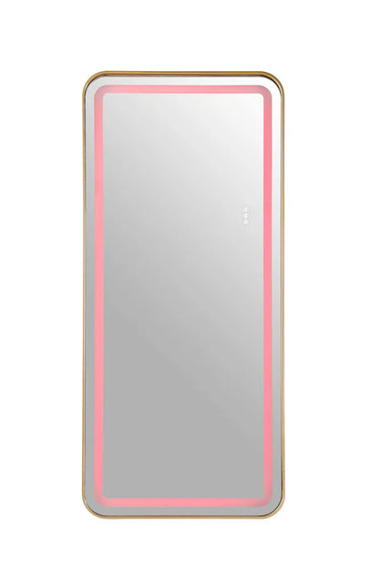Furniture of America - Katlyn - Floor Mirror - Gold - FM-AC8026GD-M view 4