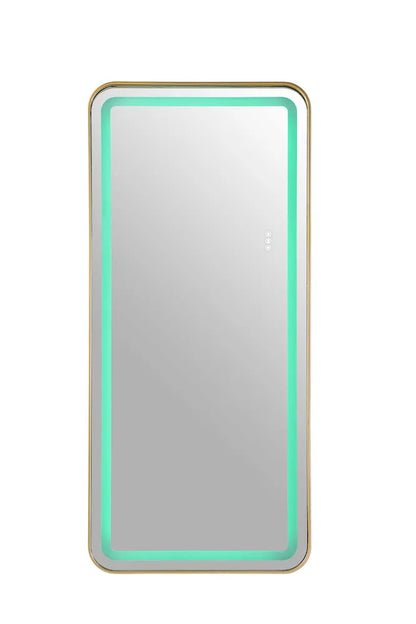 Furniture of America - Katlyn - Floor Mirror - Gold - FM-AC8026GD-M view 5