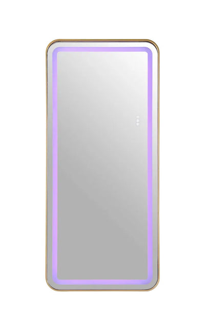 Furniture of America - Katlyn - Floor Mirror - Gold - FM-AC8026GD-M view 9