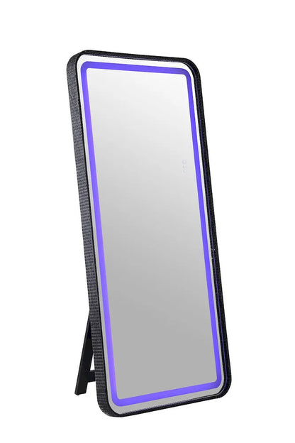 Furniture of America - Kiley - Floor Mirror - Black - FM-AC8025BK-M view 2