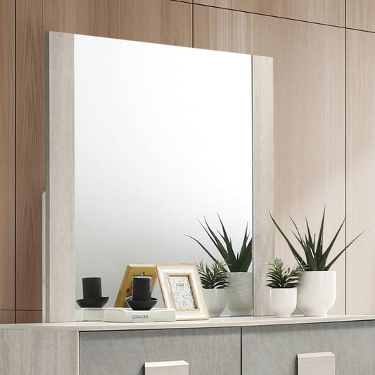 Furniture of America - Lincolt Mirror in White Wash/Stone Gray - FM7201WH-M View 1