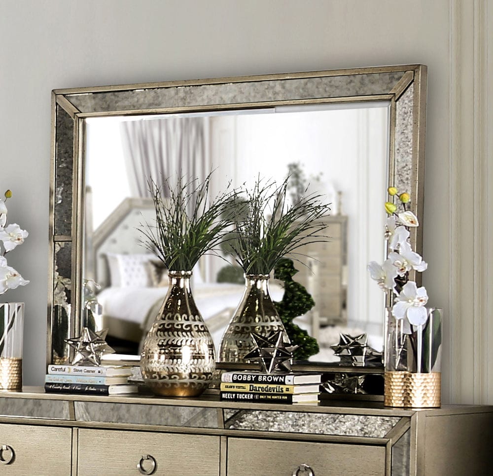 Furniture of America - Loraine Mirror in Champagne - CM7195M View 1