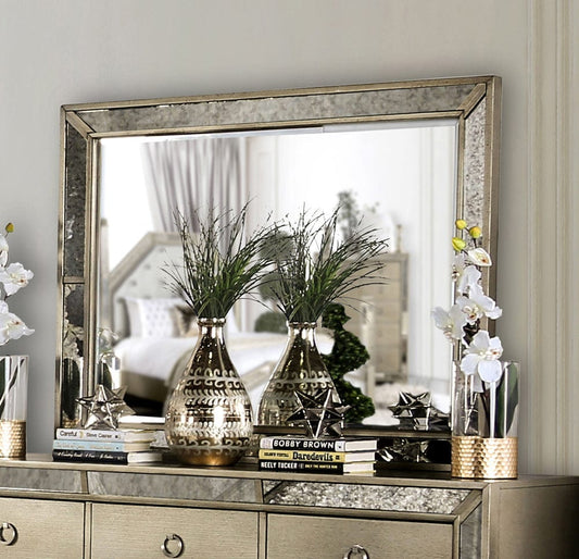 Furniture of America - Loraine Mirror in Champagne - CM7195M View 1