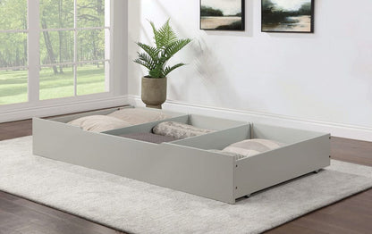Furniture of America - Lycorida Trundle/Drawer in Light Gray - CM7477GY-TR View 1