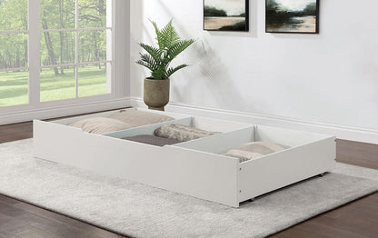 Furniture of America - Lycoris Trundle/Drawer in White - CM7477WH-TR View 1