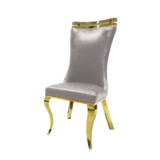 Furniture of America - Palazzo Side Chair Set of 2 in Silver - FM33011SV-SC-2PK View 1