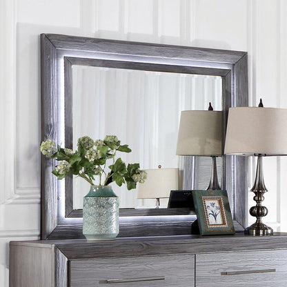 Furniture of America - Raiden Mirror w/ LED in Gray - CM7468GY-M View 1