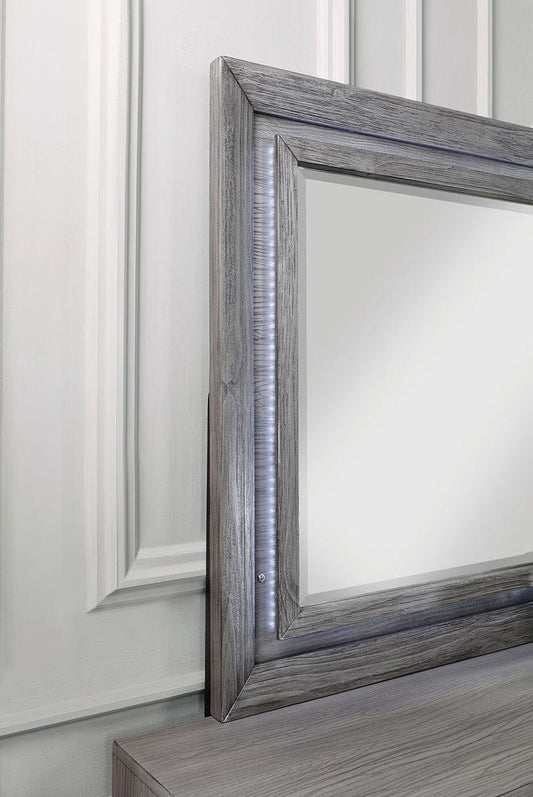 Furniture of America - Raiden Mirror w/ LED in Gray - CM7468GY-M View 2