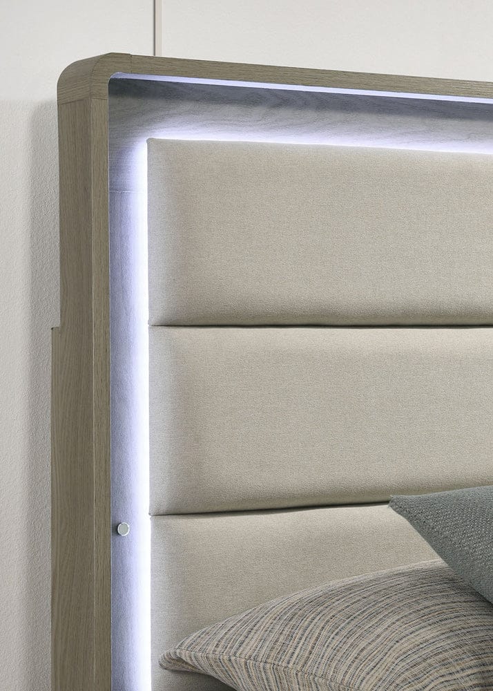 Furniture of America - Rainier Upholstered Queen Bed in Gray - FM72002GY-Q-U-BED View 3