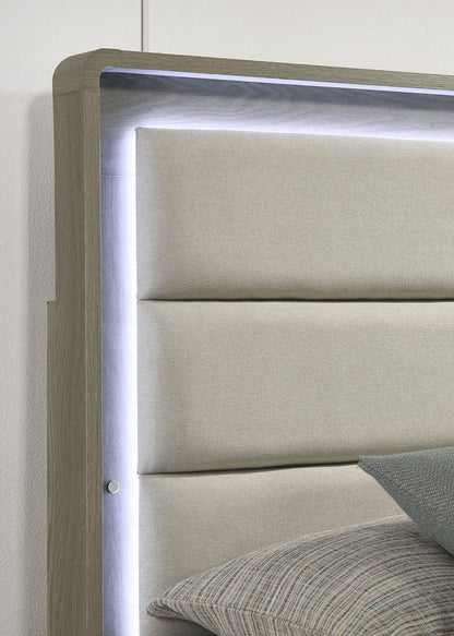 Furniture of America - Rainier Upholstered Queen Bed in Gray - FM72002GY-Q-U-BED View 3