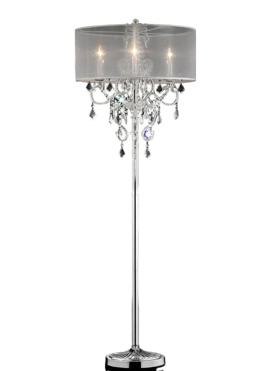 Furniture of America - Rigel 63"H Floor Lamp in Silver - L9720F View 1