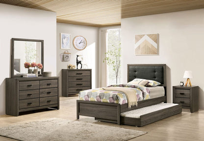 Furniture of America - Roanne Twin Bed in Gray/Charcoal - FOA7927T-BED View 2
